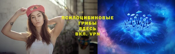 экстази Богородицк