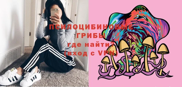 экстази Богородицк