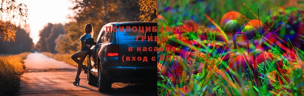 jwh Богданович