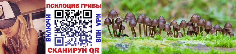 Галлюциногенные грибы Psilocybine cubensis  Купить закладки  Зеленогорск 